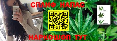 стафф Севастополь