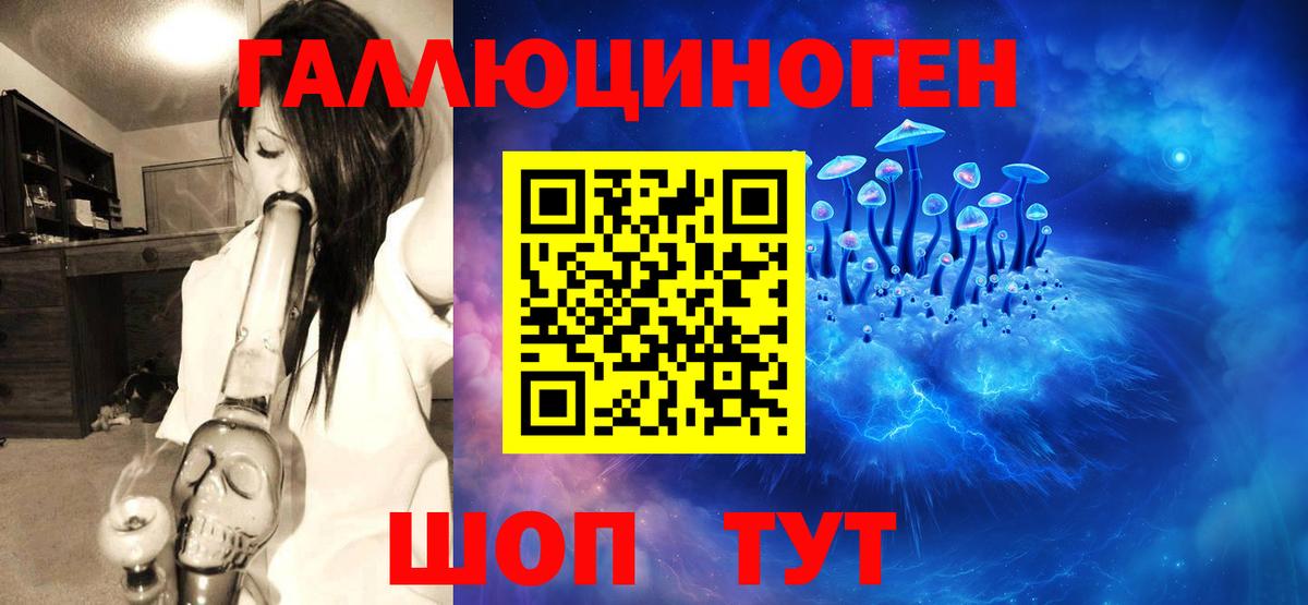 сколько стоит  Вход с VPN  Строитель  Галлюциногенные грибы GOLDEN TEACHER  Галлюциногенные грибы GOLDEN TEACHER 